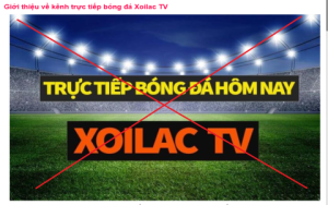 Trực tiếp bóng đá hôm nay trên Bongda Net TV