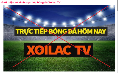 Trực tiếp bóng đá hôm nay trên Bongda Net TV