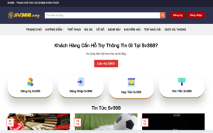 Xem tỷ lệ kèo C1 ở đâu uy tín? Top 5 trang web hàng đầu